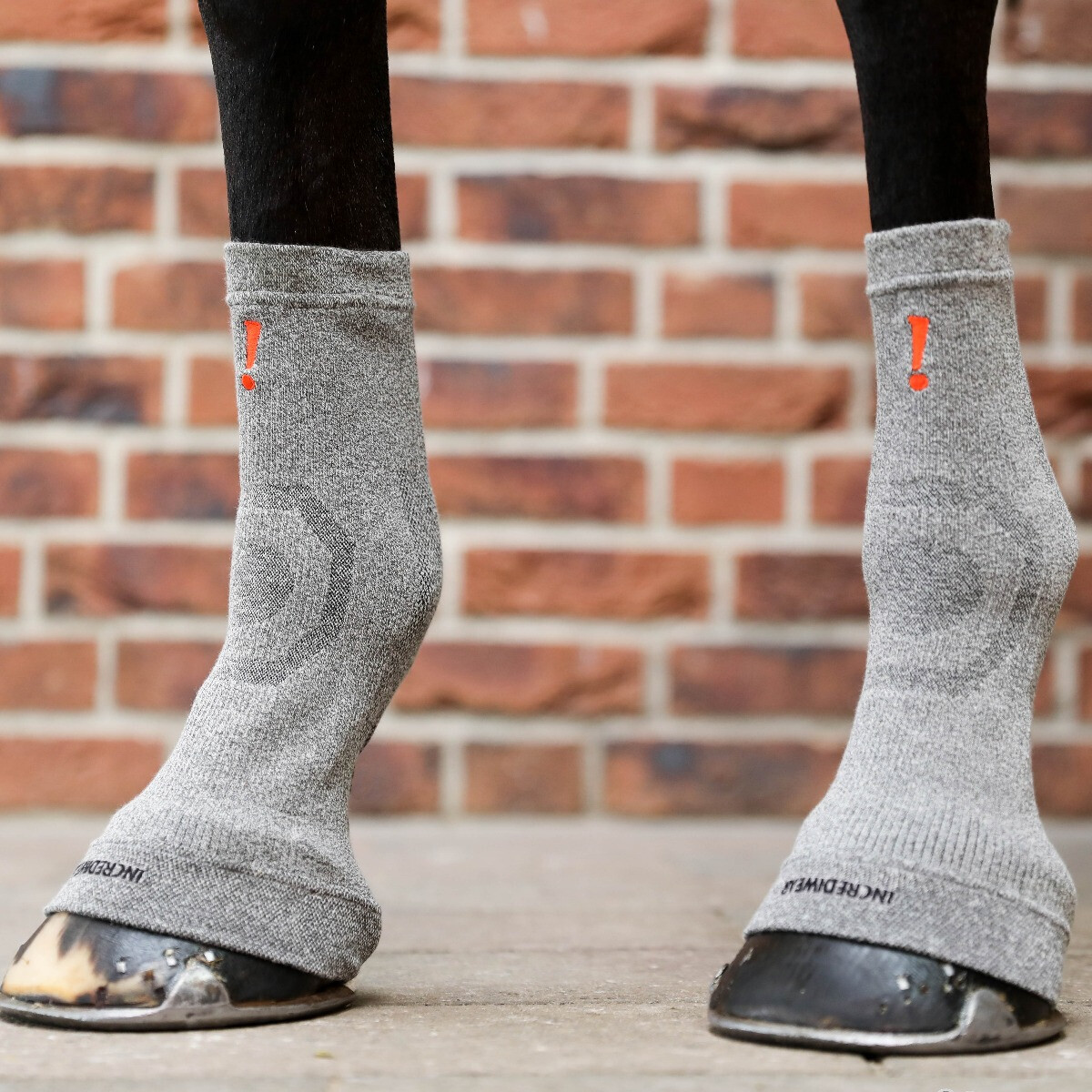 Marque à l'honneur : Incrediwear