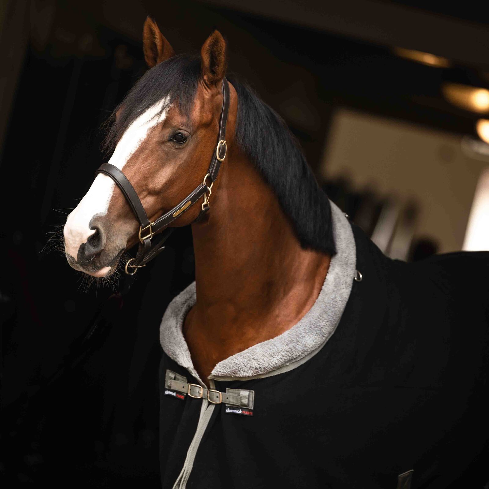 Mantas para Caballos