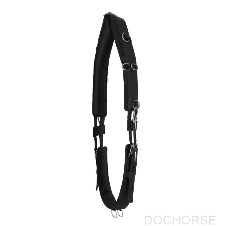 QHP Lunging Girth Padded