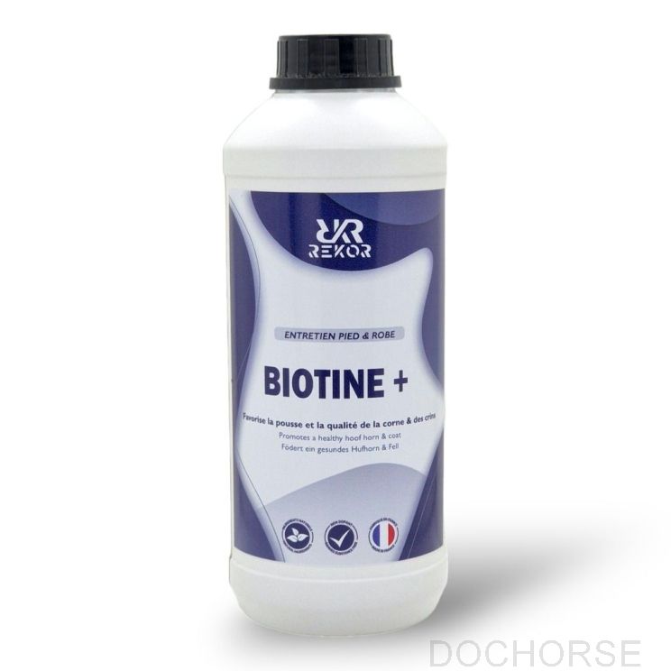 Rekor Biotin+