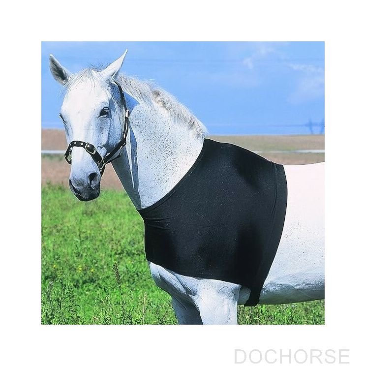 Ekkia Shoulder Guard Black