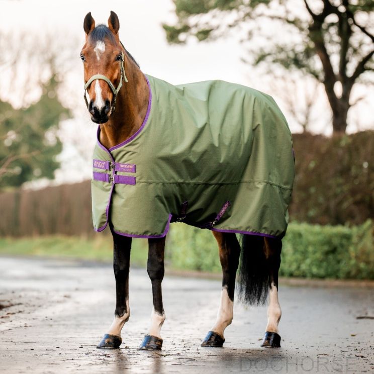 Amigo Hero Lite Ripstop 0 gr Bramble Winterberry Horse