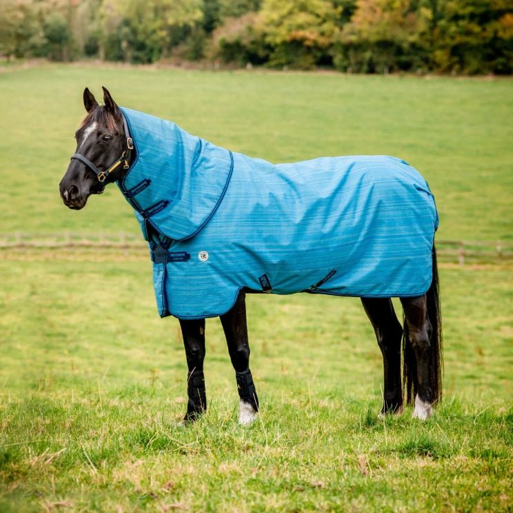 Amigo Turnout Revive Plus Turnout 900D 50g