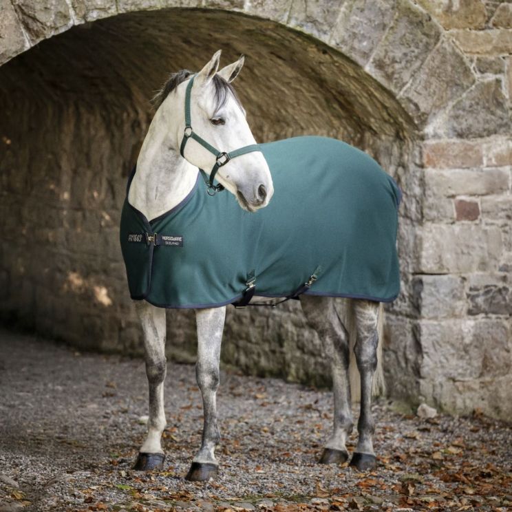 Amigo Jersey Cooler Dynasty Green