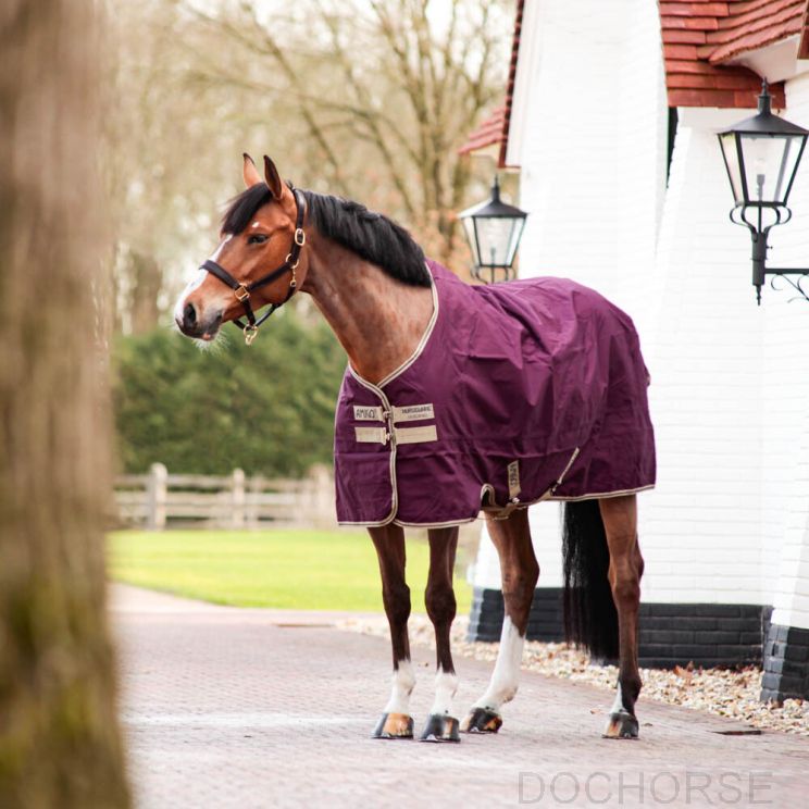 Amigo Hero Ripstop Regendeken 100grams