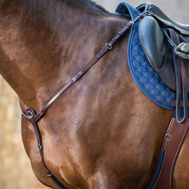 Dyon Borsttuig New English