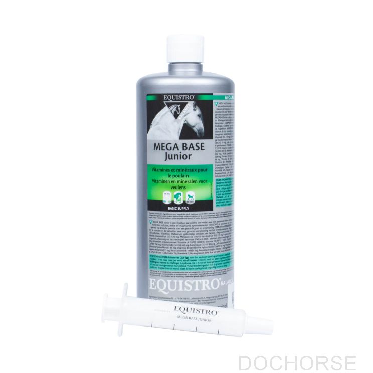 Equistro Mega Base Junior