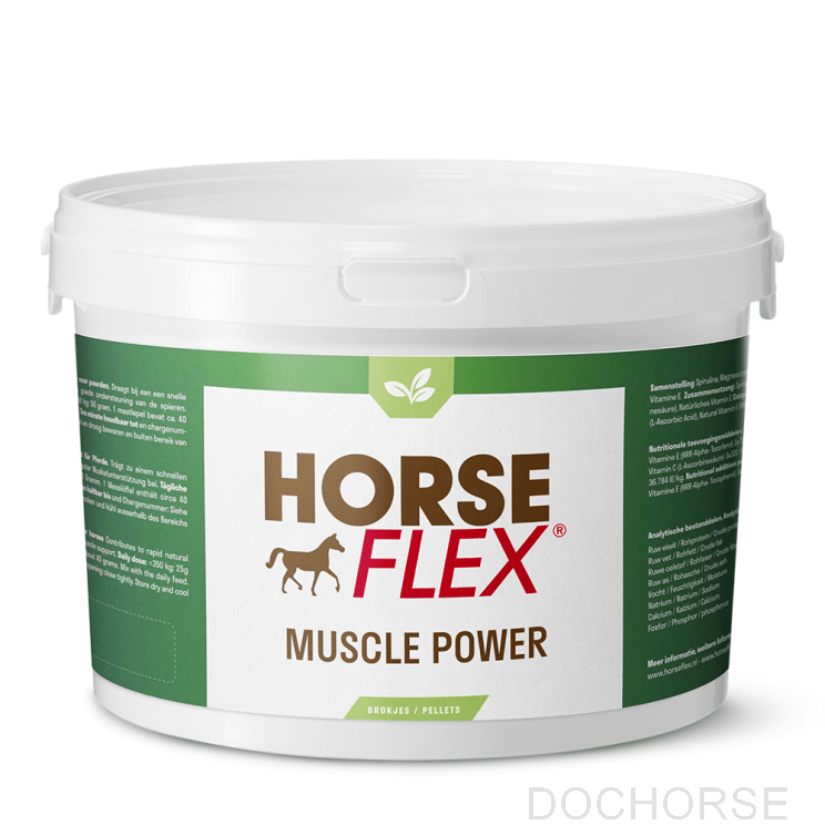 HorseFlex Muscle Power