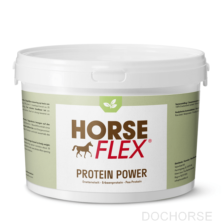 HorseFlex Protein Power