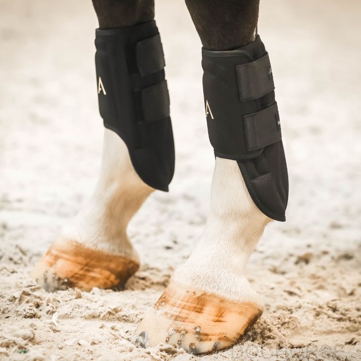Horseware Adagio Beschermers