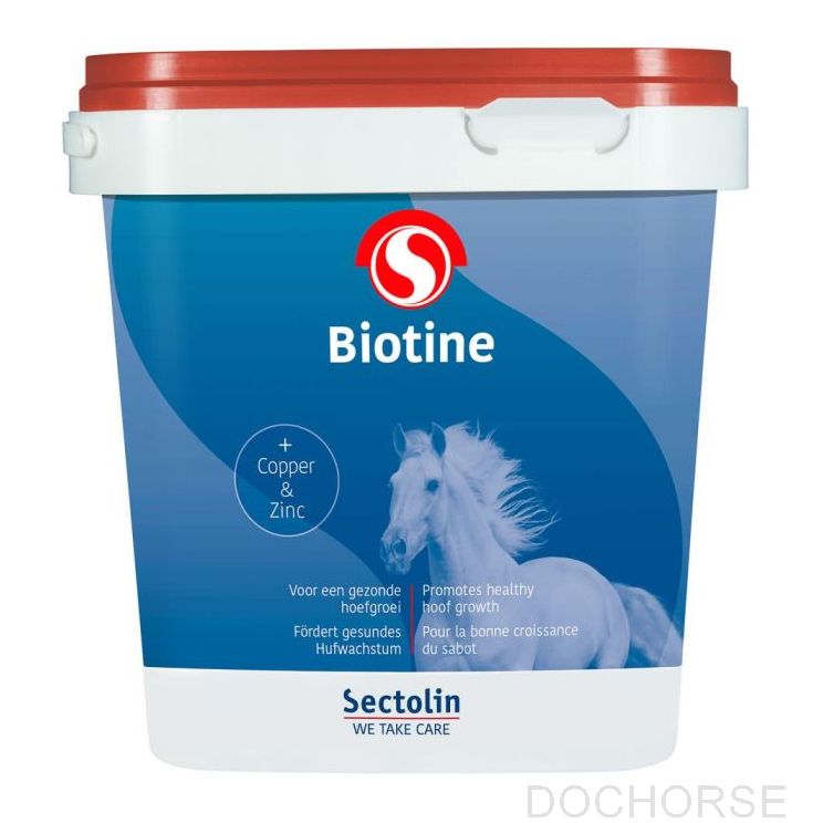 Sectolin Biotine