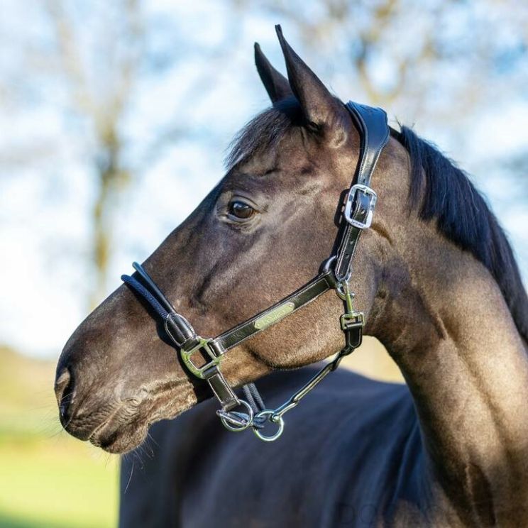 LeMieux Headcollar Rope Control Black