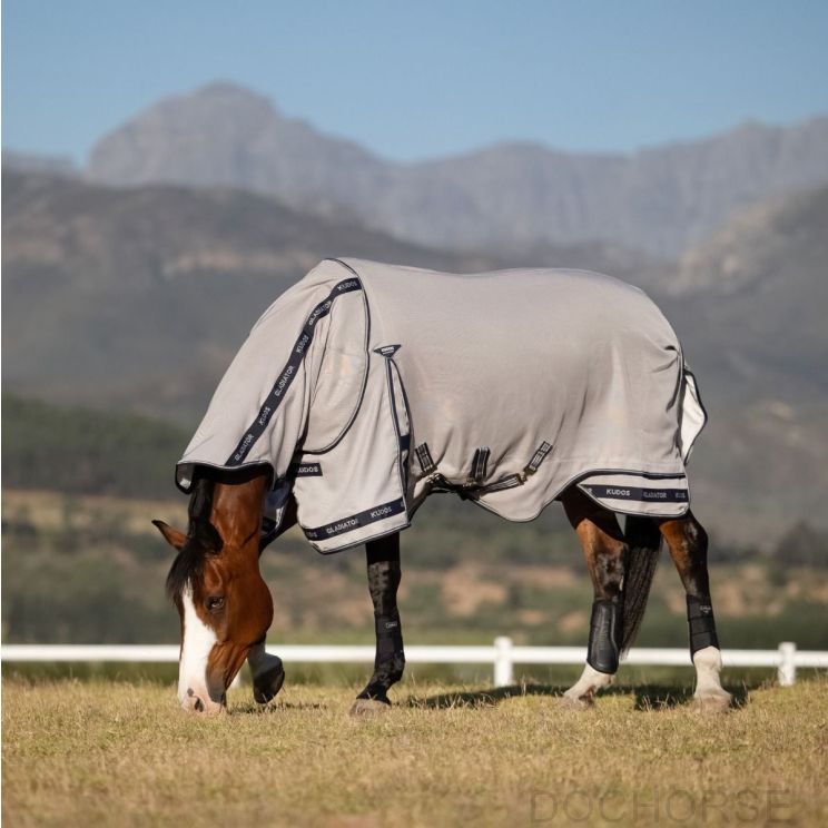 LeMieux Vliegendeken Kudos Gladiator SS26