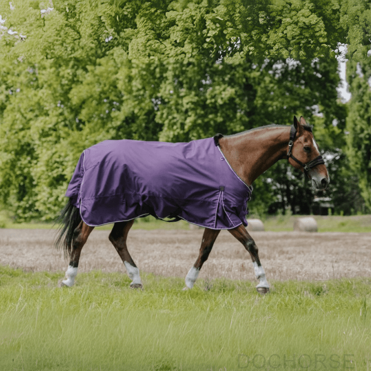 Equithème Turnout Rug Tyrex Aisance 600D 50g