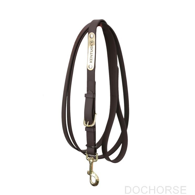 Kentucky Presentation Lead