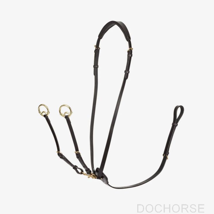 LeMieux Martingaal Kudos