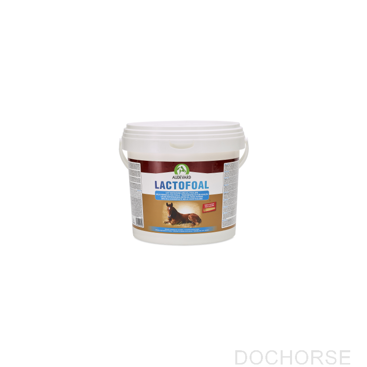Audevard Lactofoal