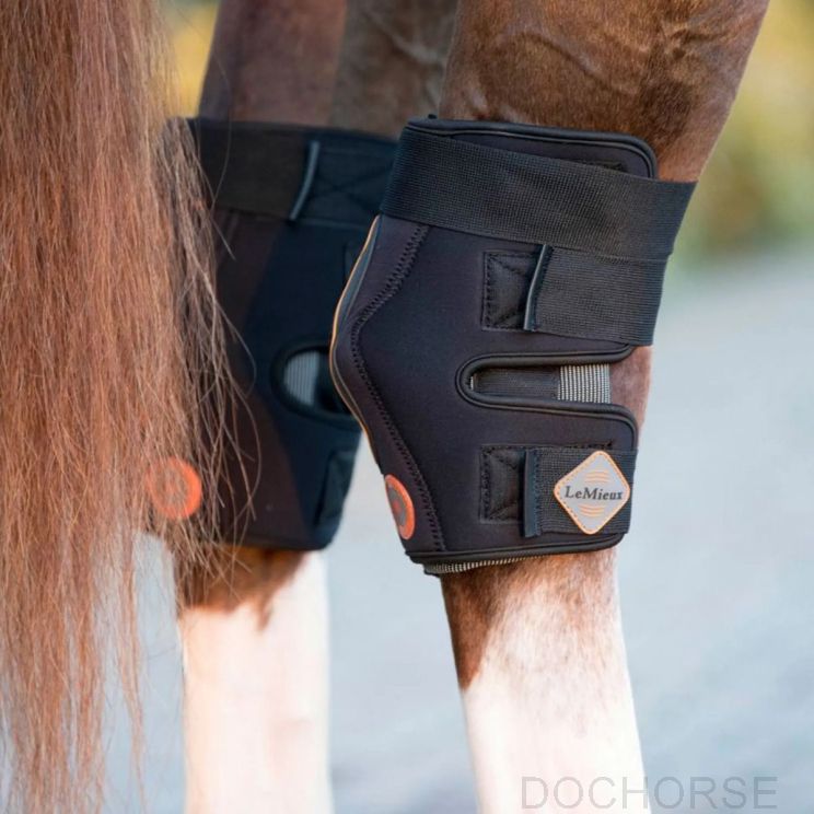 Lemieux Conductive Magno Hock Boots