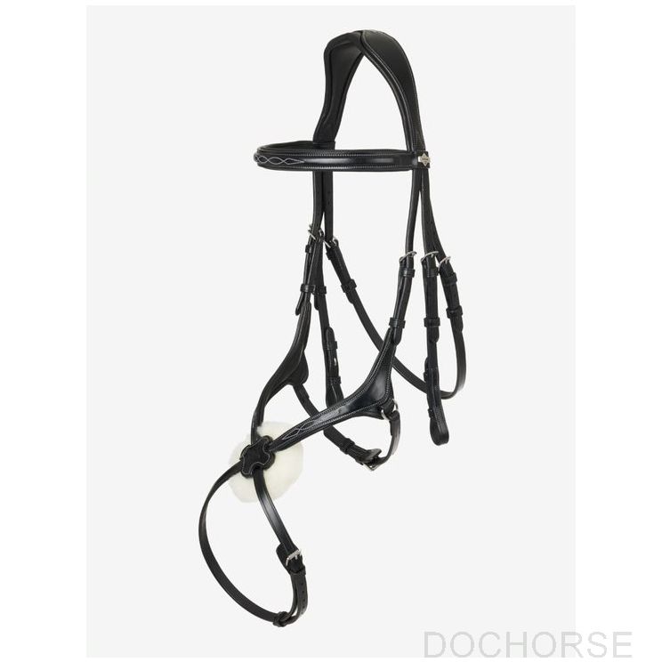 Lemieux grackle hoofdstel