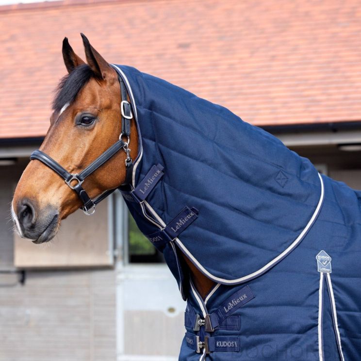 Lemieux Kudos Stable Neck Cover