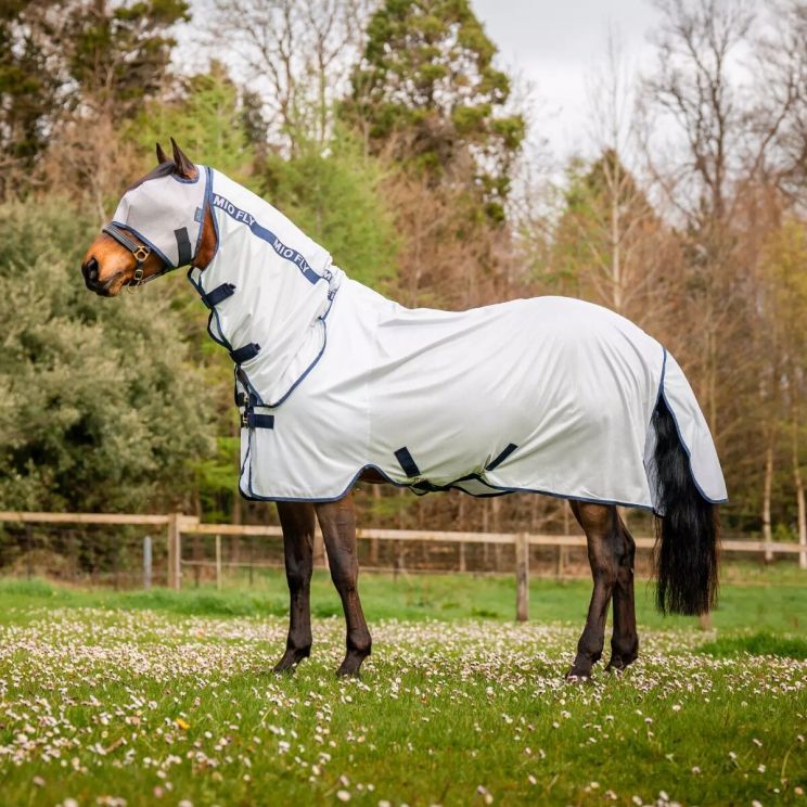 Amigo mio fly rug Grey