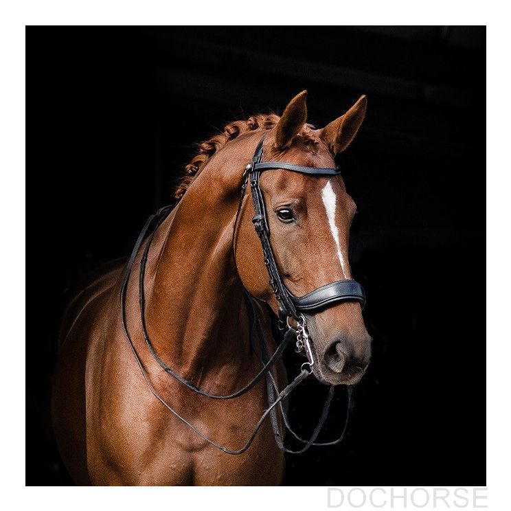 Presteq Stang & Trens Hoofdstel FayPerform