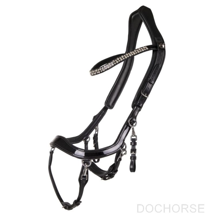 PresTeq Bridle Faysport Shine