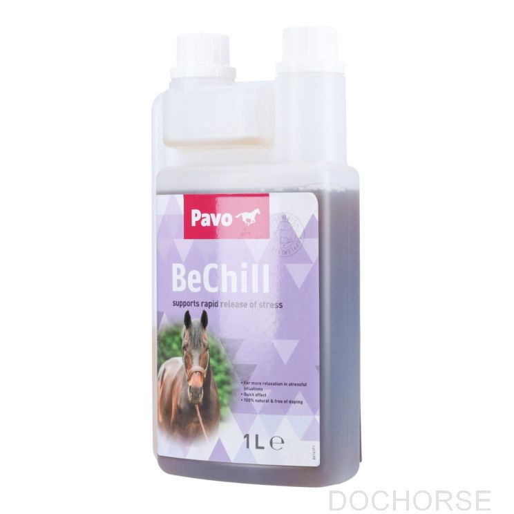 pavo bechill