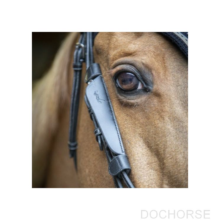 Penelope Blinkers Black