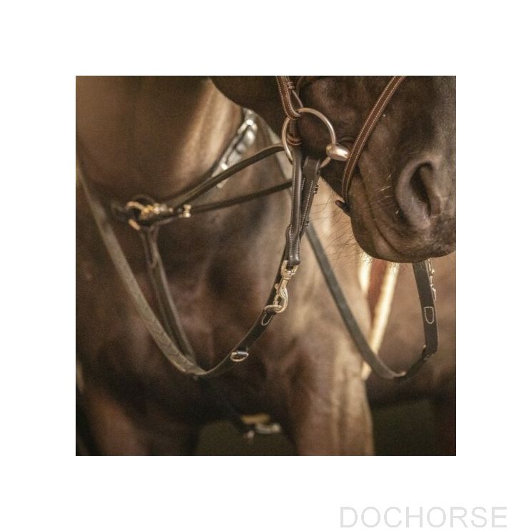 Penelope Training Aid Howlett