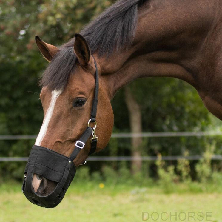 QHP Graasmasker met neusgaten