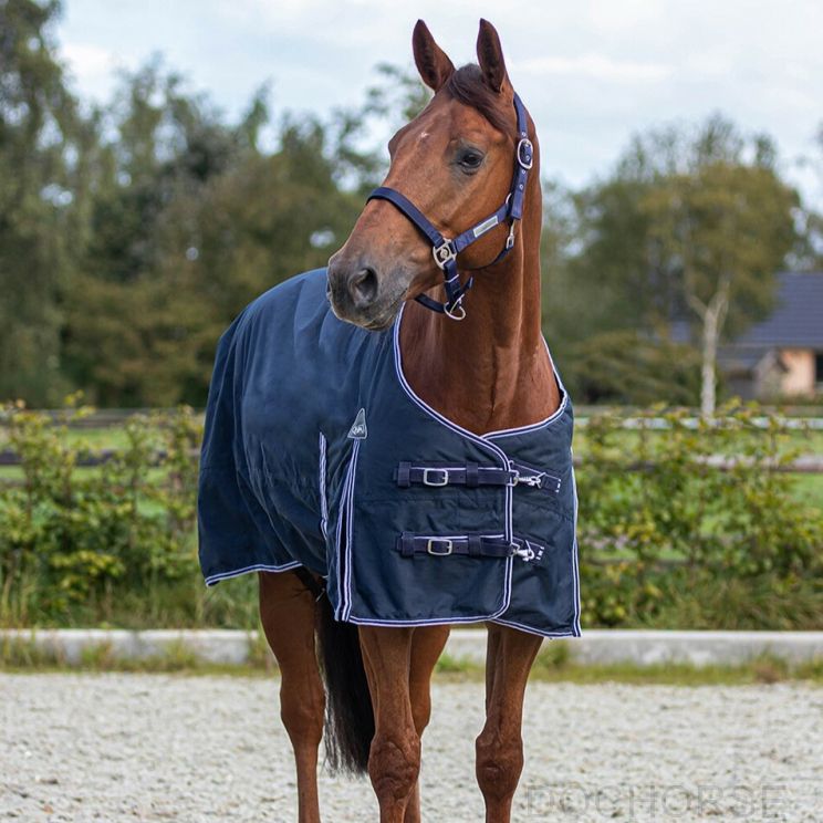QHP Turnout Rug Luxury 0gr