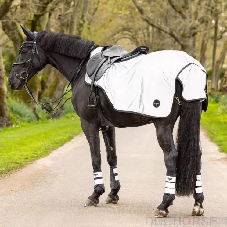 Lemieux Reflective Exercise Sheet