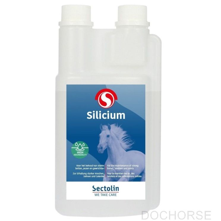 Sectolin Silicium