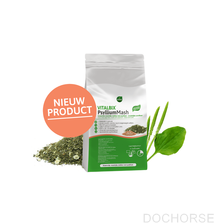 Vitalbix PsylliumMash
