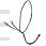 Dy'on Running Martingale ''D collection''