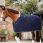 Dy'on Wool rug