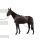 Equine legcooler