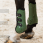 QHP Tendon Boots Champion