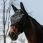 Equitheme Fly Mask UV Teddy