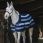 Equithème Fleece Rug Confortech