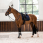 LeMieux Saddle Pad Dressage Crystal
