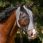 QHP Fly Mask Super bug