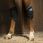 Lami-Cell Ice Boots Hock Guards