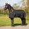 QHP Regendeken turnout Big neck 0gr