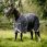 Rambo Optimo Plus Bundle Turnout Grey