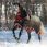 Horseware Rambo Supreme Heavy with Vari-Layer Horse
