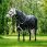 Amigo Turnout Rug 1200D 50g Plus
