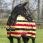 Rambo deluxe fleece newmarket 
