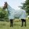 Horseware Newmarket Manta Antimosca Plus